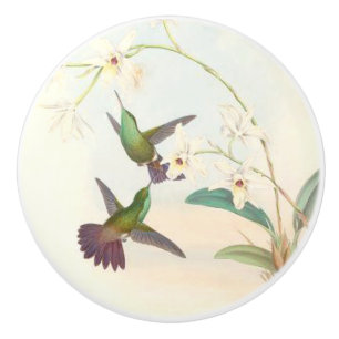 Hummingbird Birds Wildlife Animals Floral Knob
