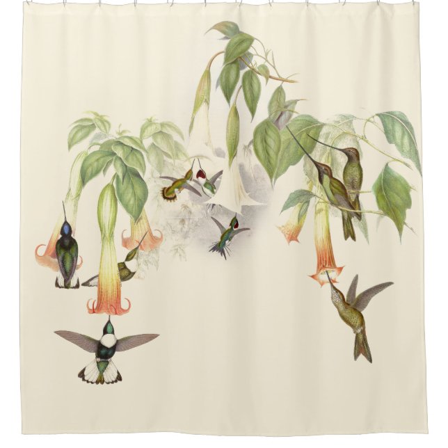Hummingbird Birds Wildlife Animals Flowers Floral (Front)