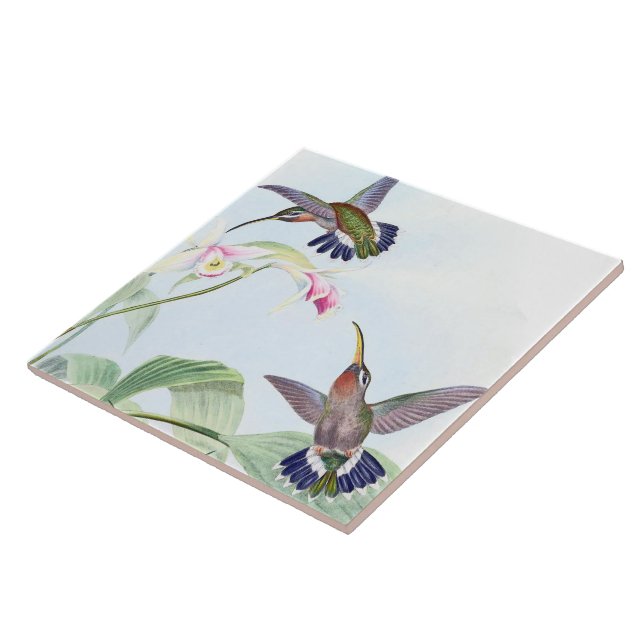 Hummingbird Birds Wildlife Animals Flowers Tile (Side)