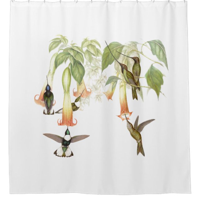 Hummingbird Birds Wildlife Flower Floral Garden (Front)
