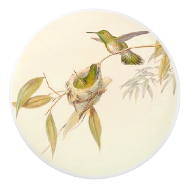 Hummingbird Birds Wildlife Nest Garden Knob (Front)