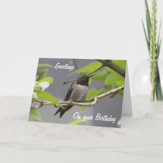 Hummingbird Birthday Greetings Card