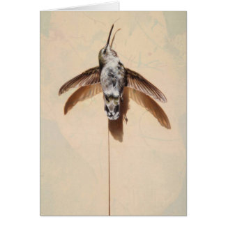 Hummingbird Blank Card by Andrew Denman
