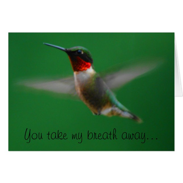 Hummingbird Card (Front Horizontal)