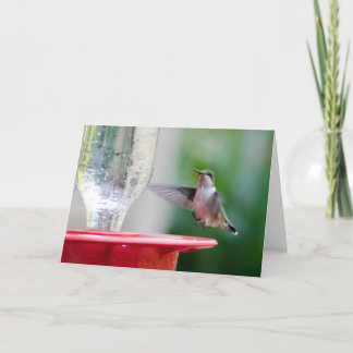 Hummingbird Card