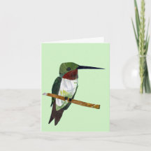 Hummingbird Card light green