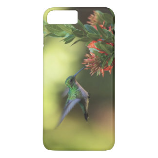 Hummingbird iPhone 8 Plus/7 Plus Case