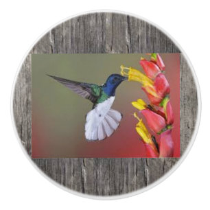 Hummingbird Ceramic Cabinent Knob and Pulls