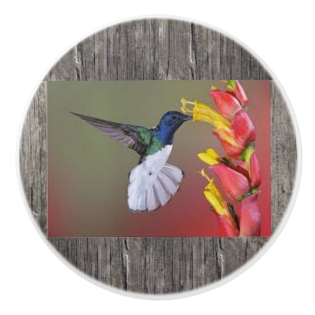 Hummingbird Ceramic Cabinent Knob and Pulls (Front)