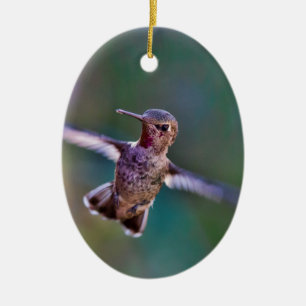 Hummingbird Ceramic Ornament