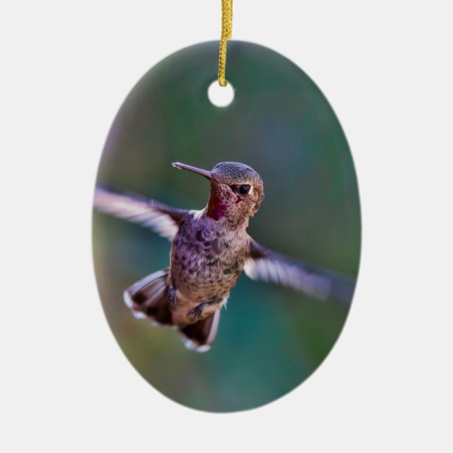 Hummingbird Ceramic Ornament (Front)