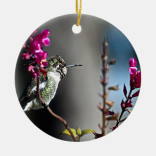 Hummingbird Ceramic Ornament