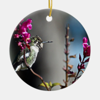 Hummingbird Ceramic Ornament