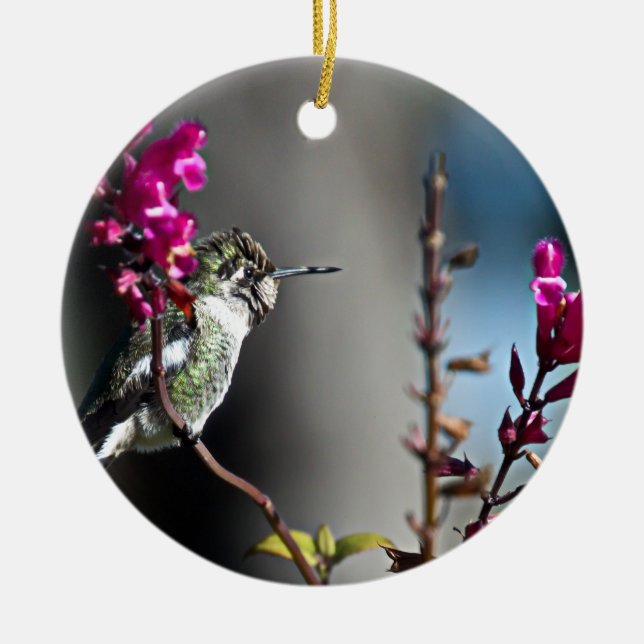 Hummingbird Ceramic Ornament (Front)