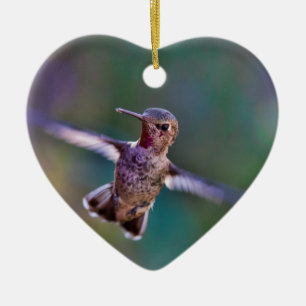 Hummingbird Ceramic Ornament
