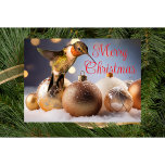 Hummingbird Christmas Card<br><div class="desc">Hummingbird Christmas Card created from a photo taken by Audrey's Creations - All Hummingbird Photos I use in my designs are taken by me at my home in Mason,  Tn.</div>