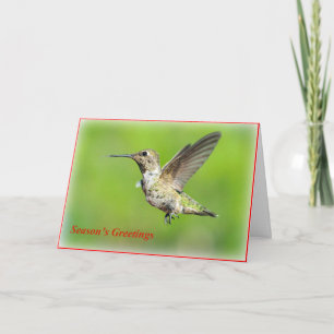 Hummingbird Christmas Greeting Card
