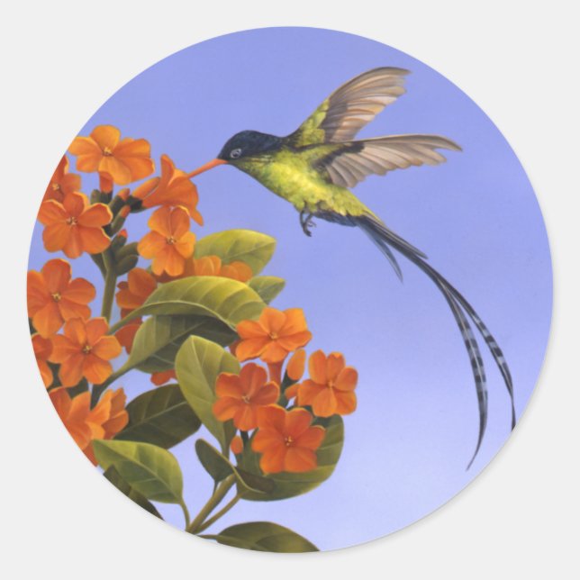 Hummingbird Classic Round Sticker (Front)