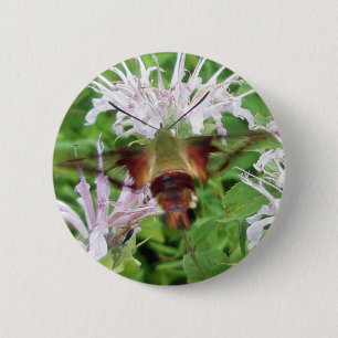 Hummingbird Clear Wing Moth Coordinating Items 2 Inch Round Button
