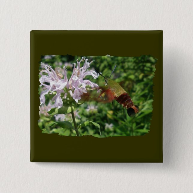 Hummingbird Clear Wing Moth Coordinating Items 2 Inch Square Button (Front)
