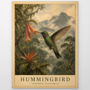 Hummingbird Cloud Forest VINTAGE Postcard