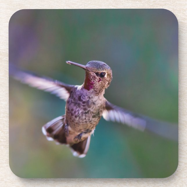 Hummingbird Coaster (Front)
