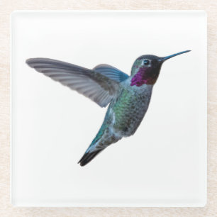 Hummingbird Coaster - Design A