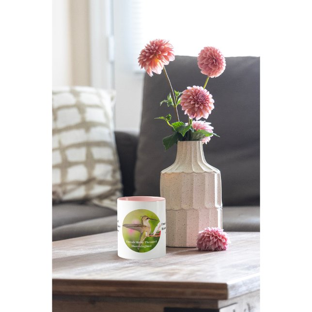 Hummingbird Coffee Cup (Creator Uploaded)