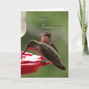 Hummingbird Couple on feeder- any occasion Card