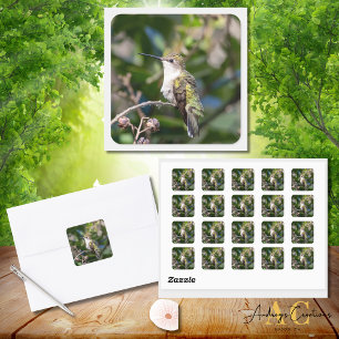 Hummingbird Design  #4Q7A5301 Square Sticker