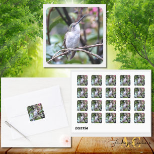 Hummingbird Design #4Q7A9282 Square Sticker