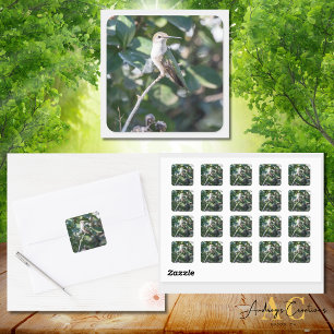 Hummingbird Design   #4Q7A9974 Square Sticker