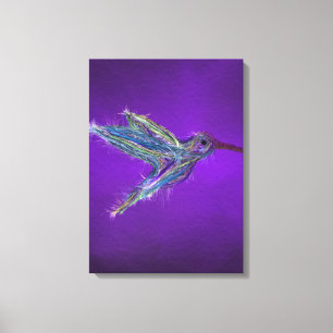 Hummingbird Drawing Canvas Print