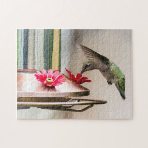 Hummingbird Drinking from a Feeder Puzzle