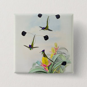 Hummingbird, engraved by Walter and Cohn 2 Inch Square Button