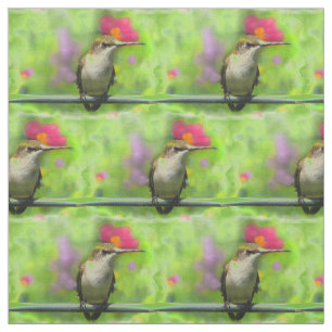 Hummingbird Fabric