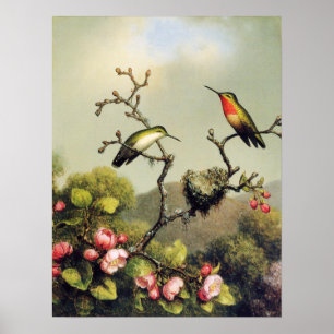 Hummingbird Family and Apple Blossom Poster
