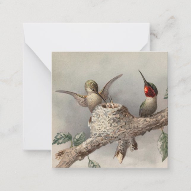 Hummingbird Family Vintage Notecard (Front)