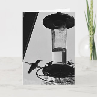 Hummingbird feeder card