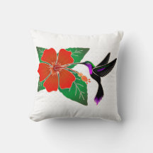 Hummingbird Feeding from Red Hibiscus Flower