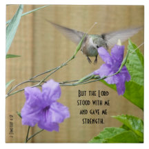 Hummingbird feeding on Flower w/ Scripture Verse