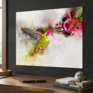 Hummingbird Feeding on Pink Flower Watercolor Poster