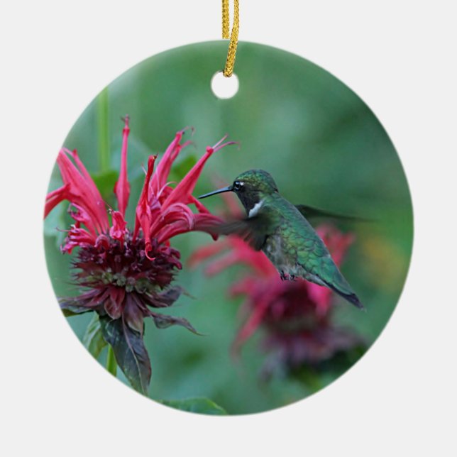 Hummingbird feeding on pink flowers ceramic ornament (Front)