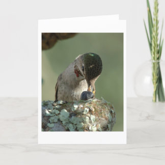 Hummingbird feeding time card