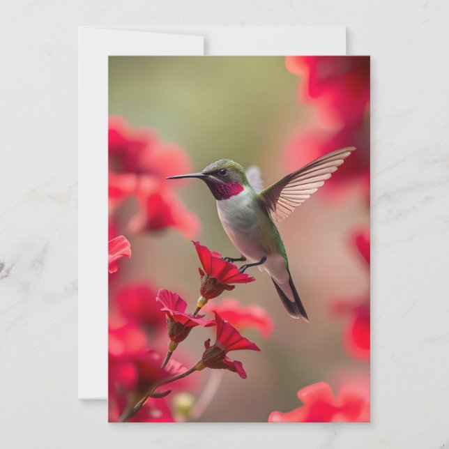 Hummingbird - Flat Greeting Card (Front)