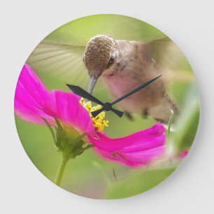 Hummingbird Floral Flower Bird Animal Wall Clock