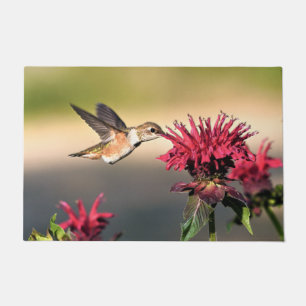 Hummingbird Flower Feeding Doormat
