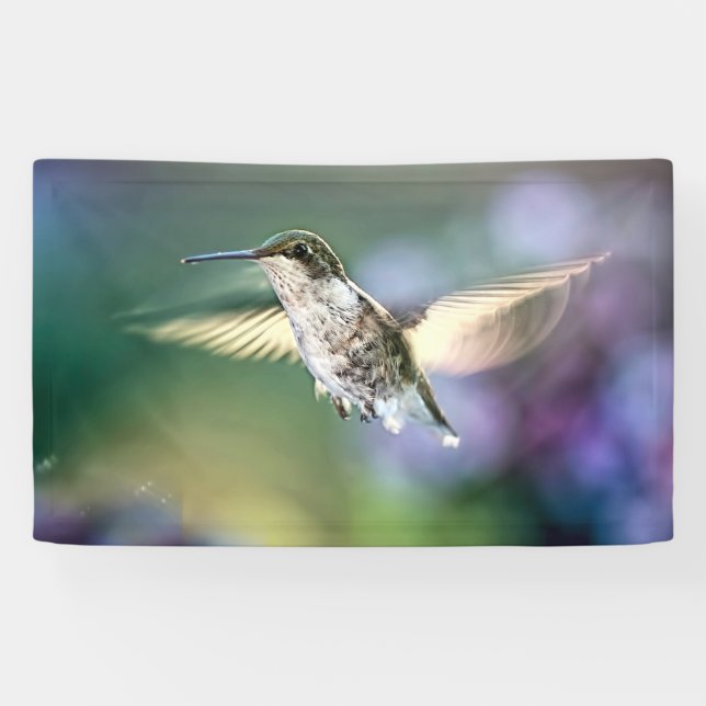 Hummingbird Flying Banner (Horizontal)