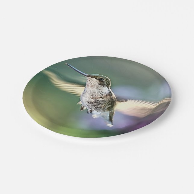 Hummingbird Flying Paper Plate (Angled)