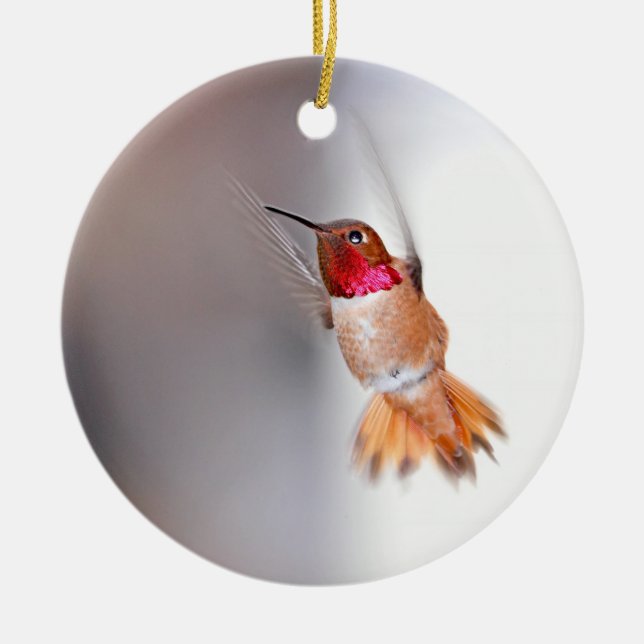 Hummingbird Flying Photo Ceramic Ornament (Front)